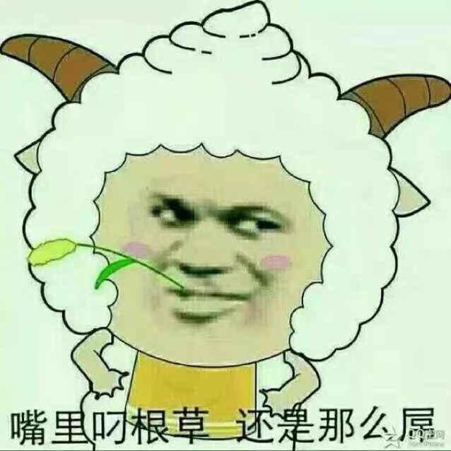 阿本木